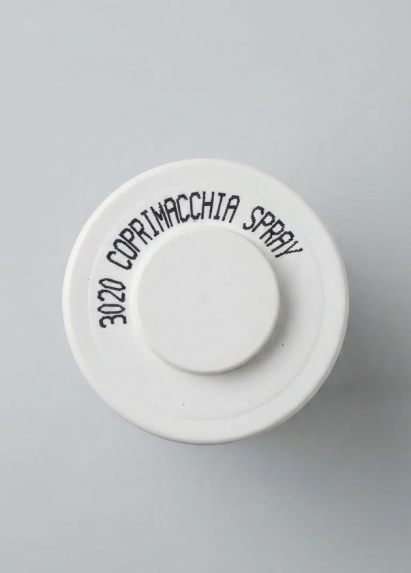 Coprimacchia Spray FAI TU COLOR (400Ml) - immagine 2